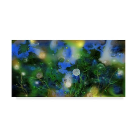 RUNA 'Night Flowers' Canvas Art,24x47